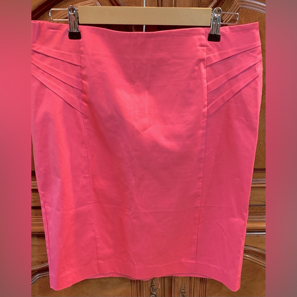 New York and Company Skirt